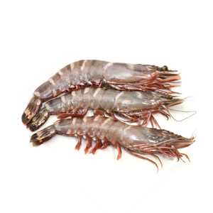 Gamba ongepeld met kop